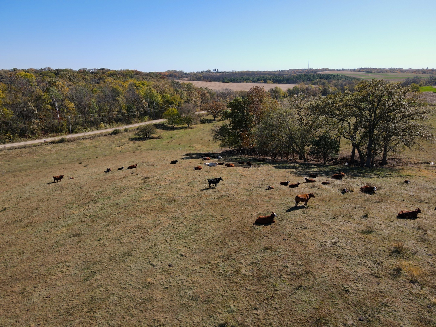 000 Holstein Prairie Road Property Photo 16