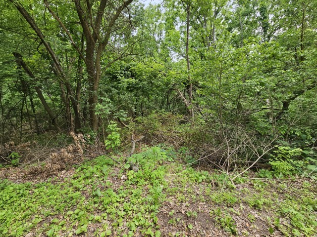 41w329 Prairie View Lane Property Photo 6