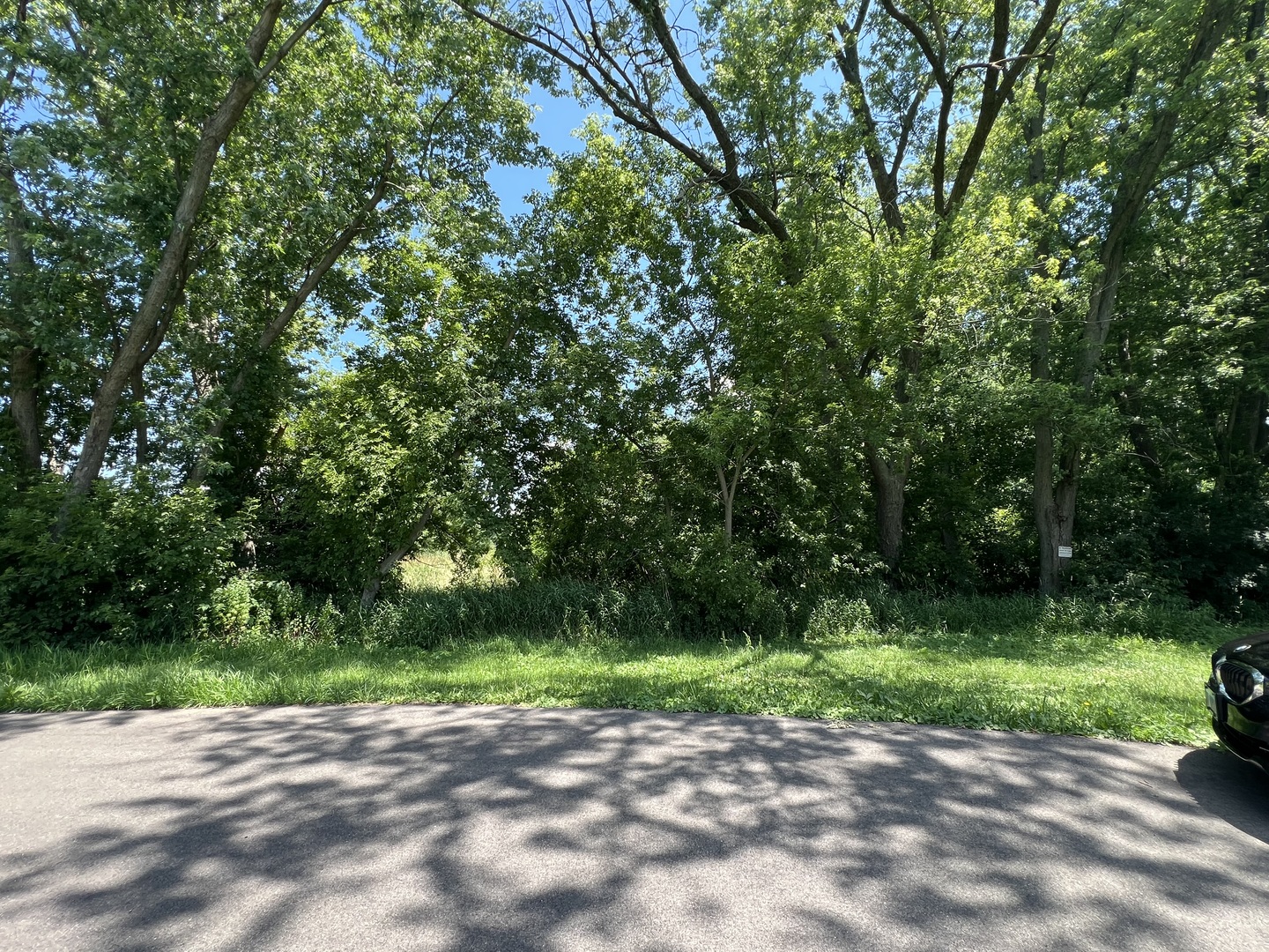 35105 N Ingleside Drive Property Photo 2