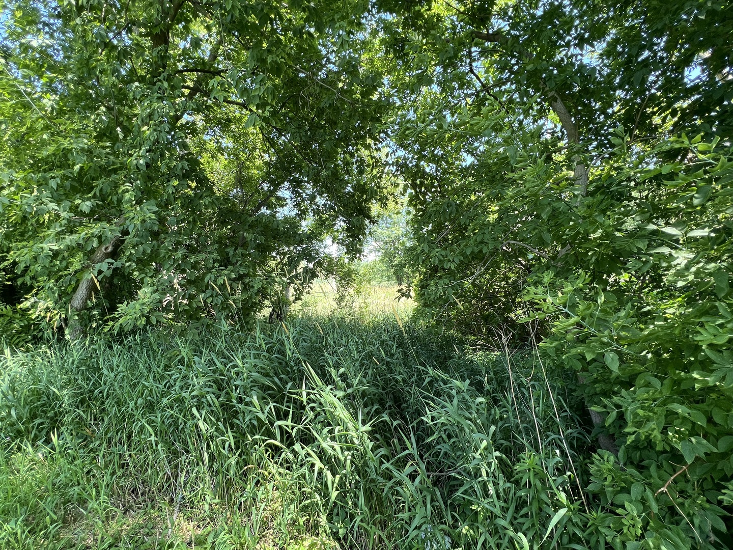 35105 N Ingleside Drive Property Photo 3