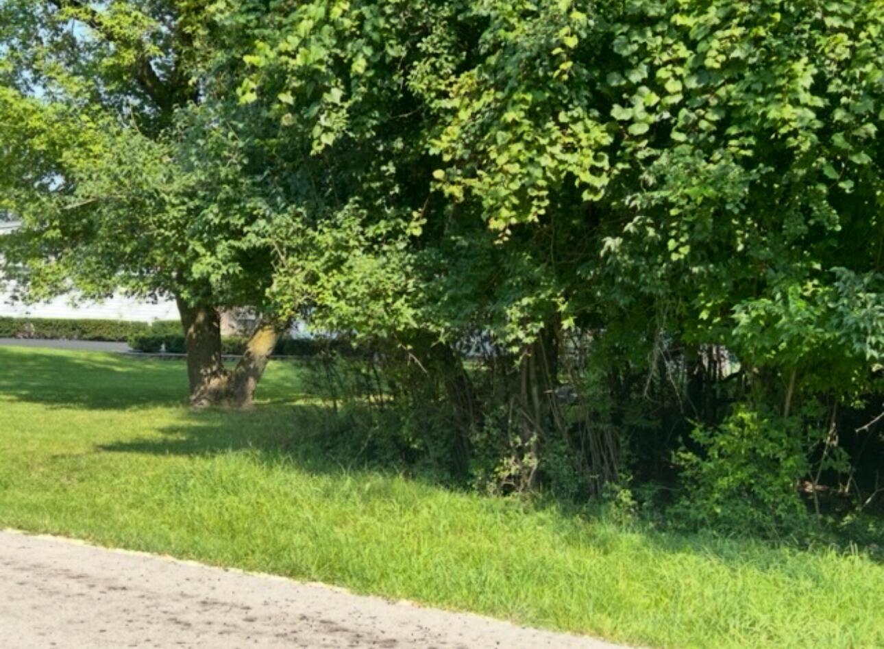 0 Natoma Trail Property Photo 4