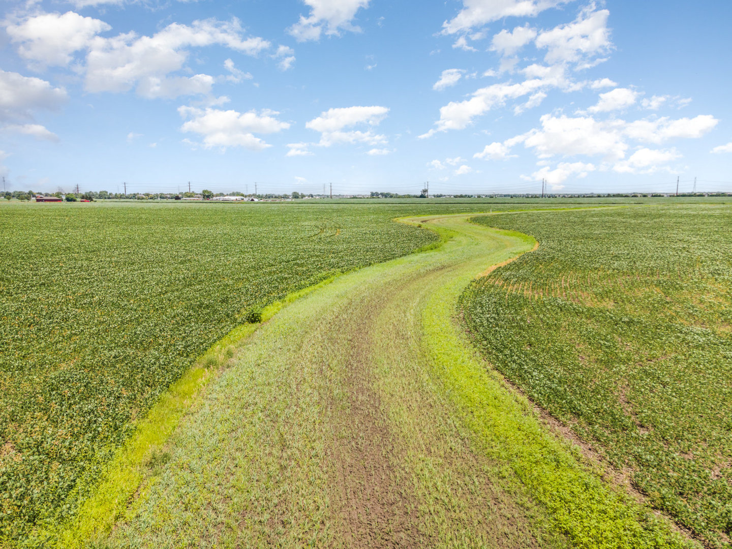 0 County Line Road Property Photo 3