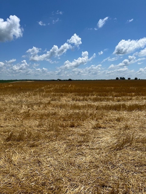 2000 County Road