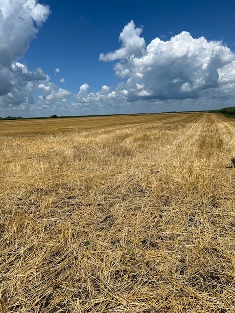 17 Route Road Property Photo 1