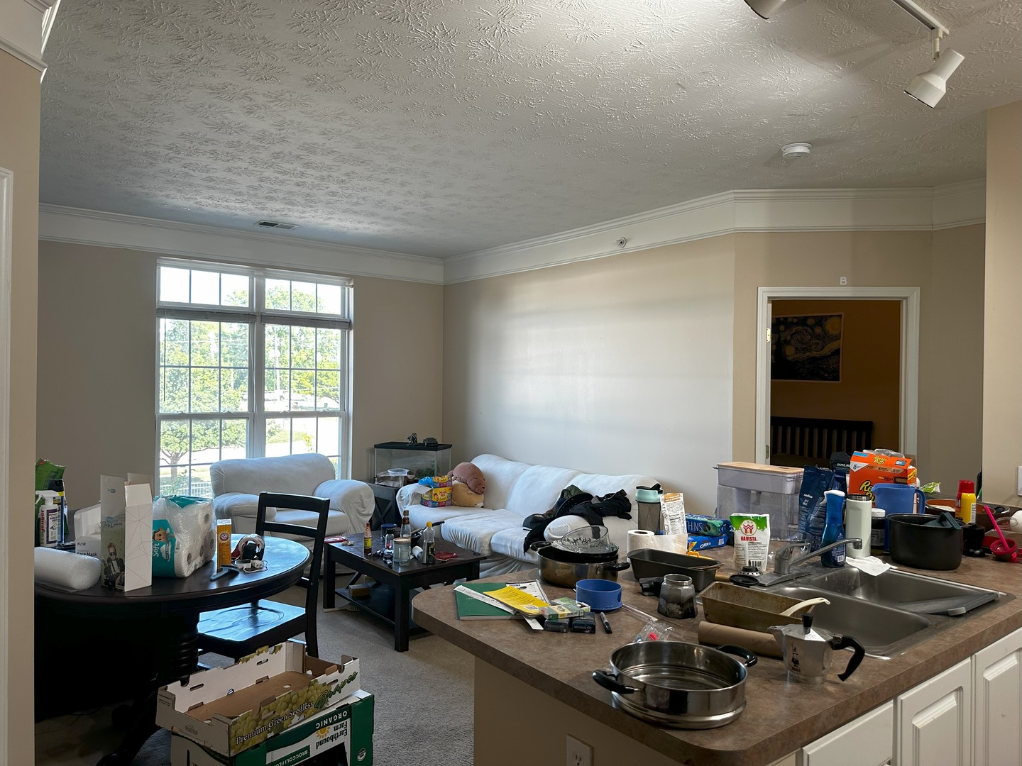 1901 N Lincoln Avenue 205 Property Photo 4