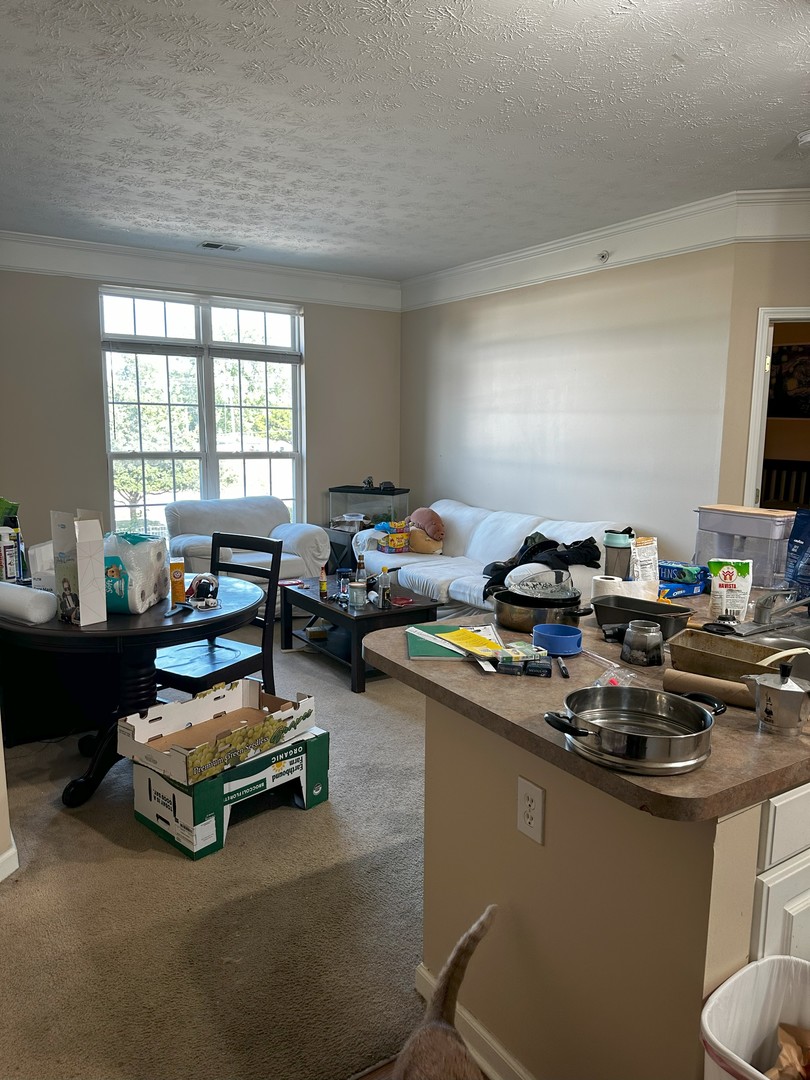 1901 N Lincoln Avenue 205 Property Photo 6