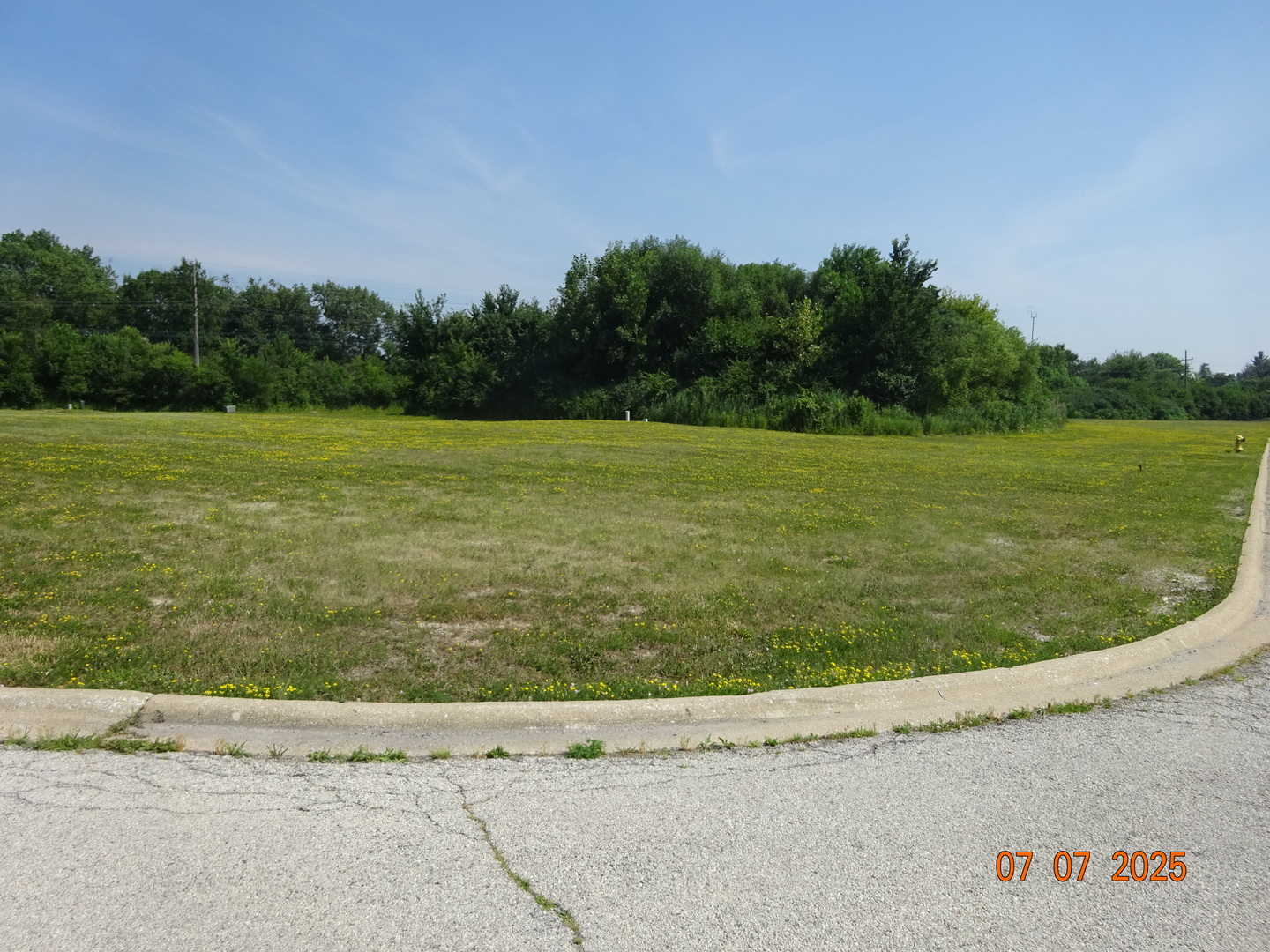 2904 Delphi Court Property Photo 2