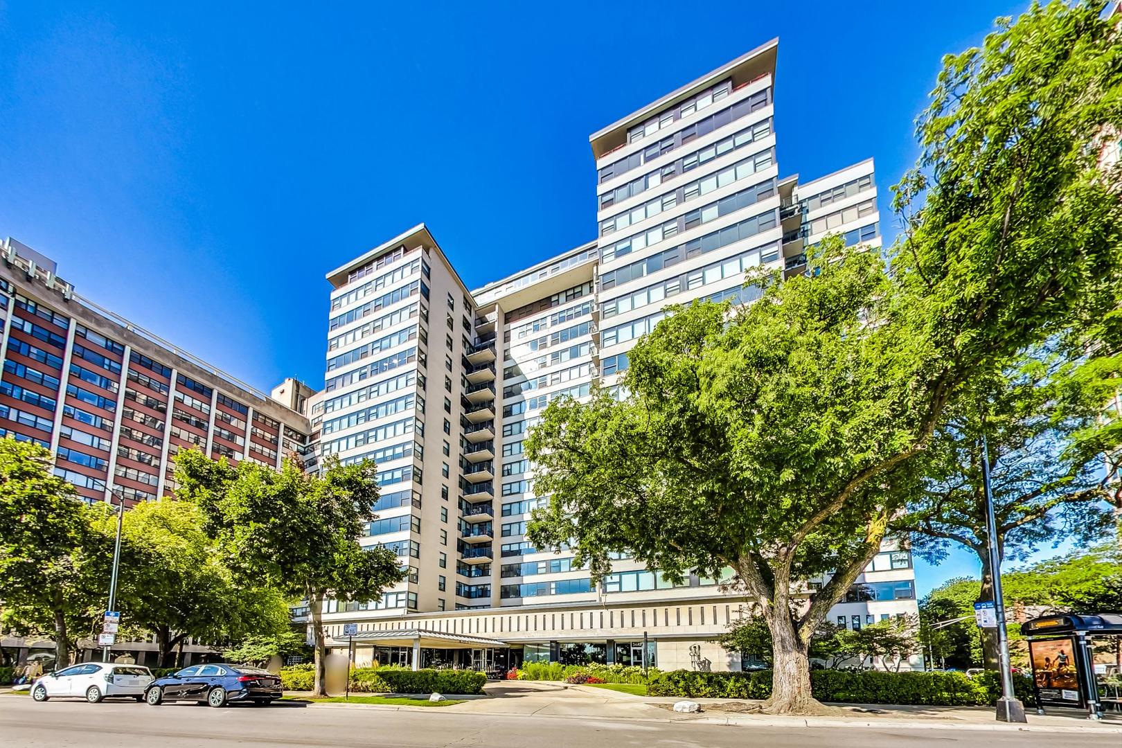 3430 N Lake Shore Drive 10m Property Photo 1