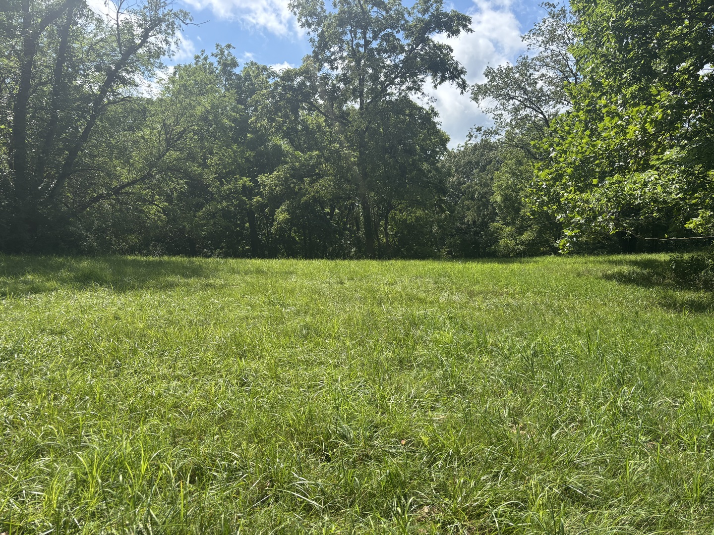 1720 Tanglewood Drive Property Photo 3