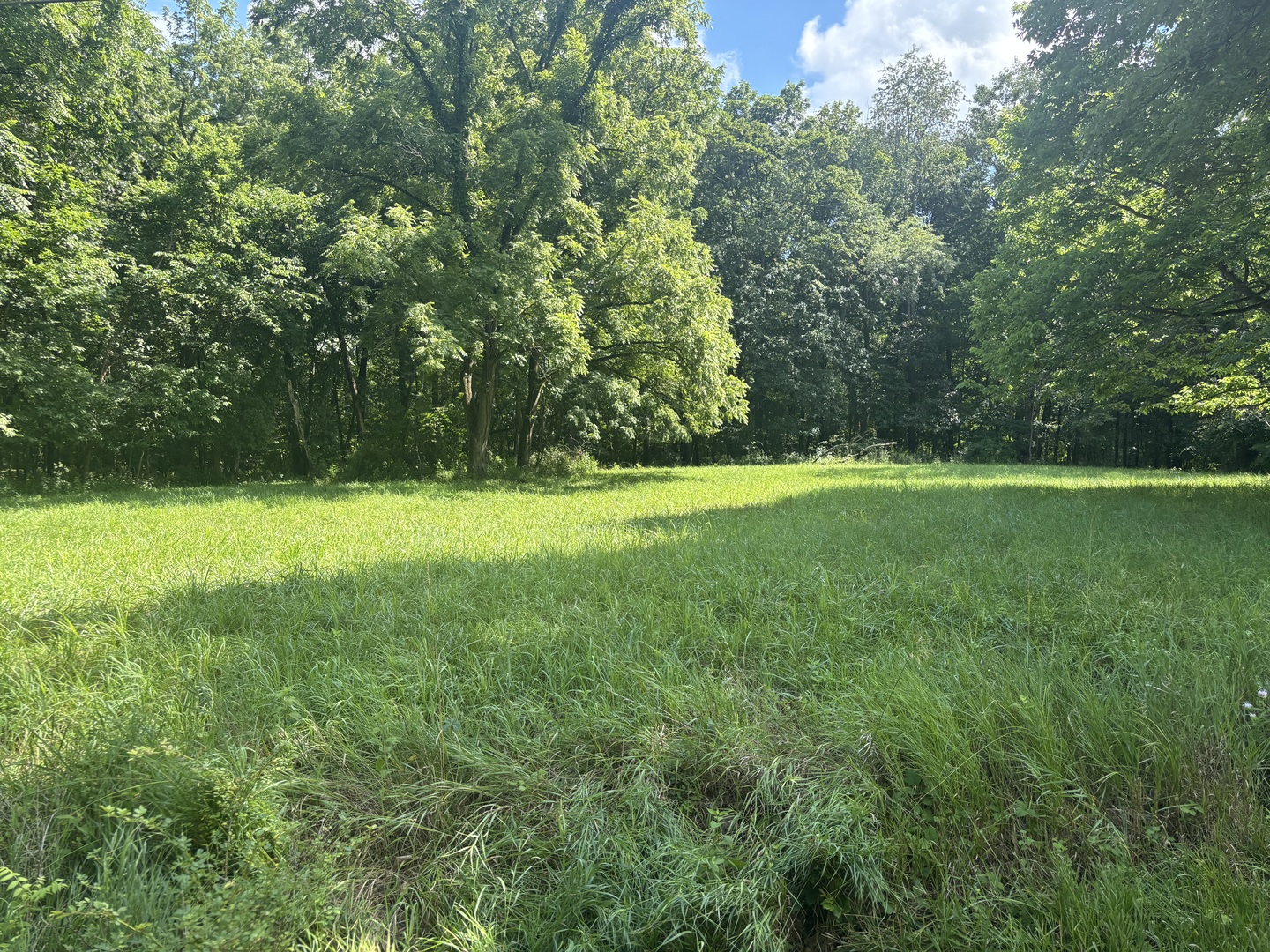 1720 Tanglewood Drive Property Photo 4