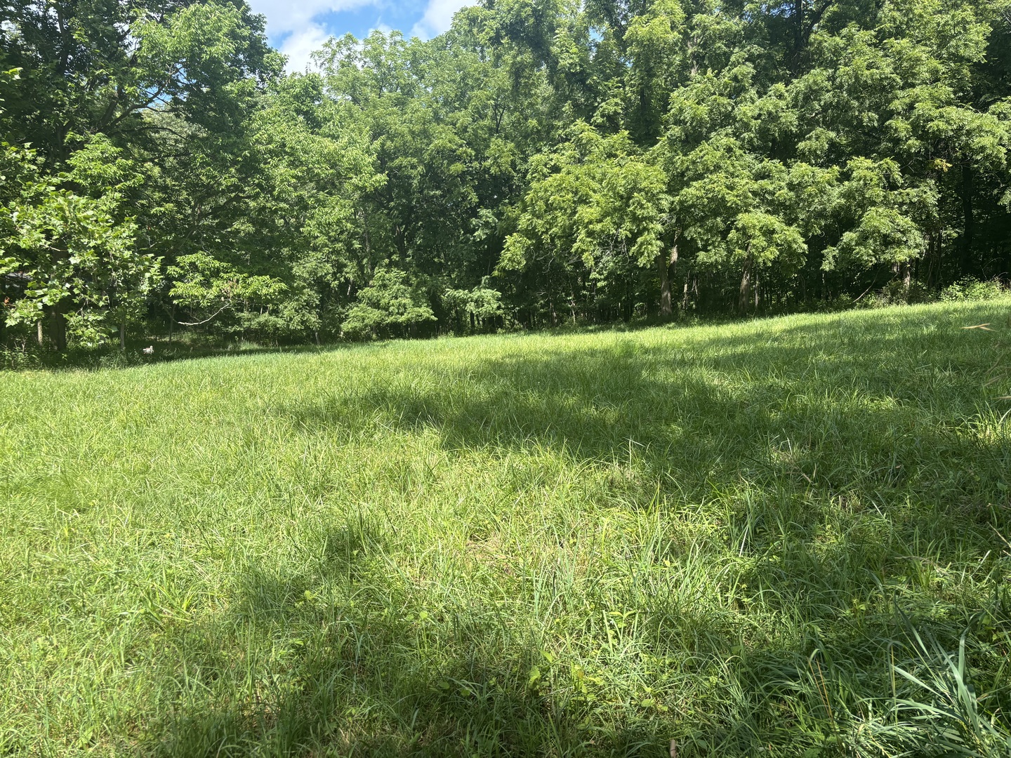 1720 Tanglewood Drive Property Photo 6