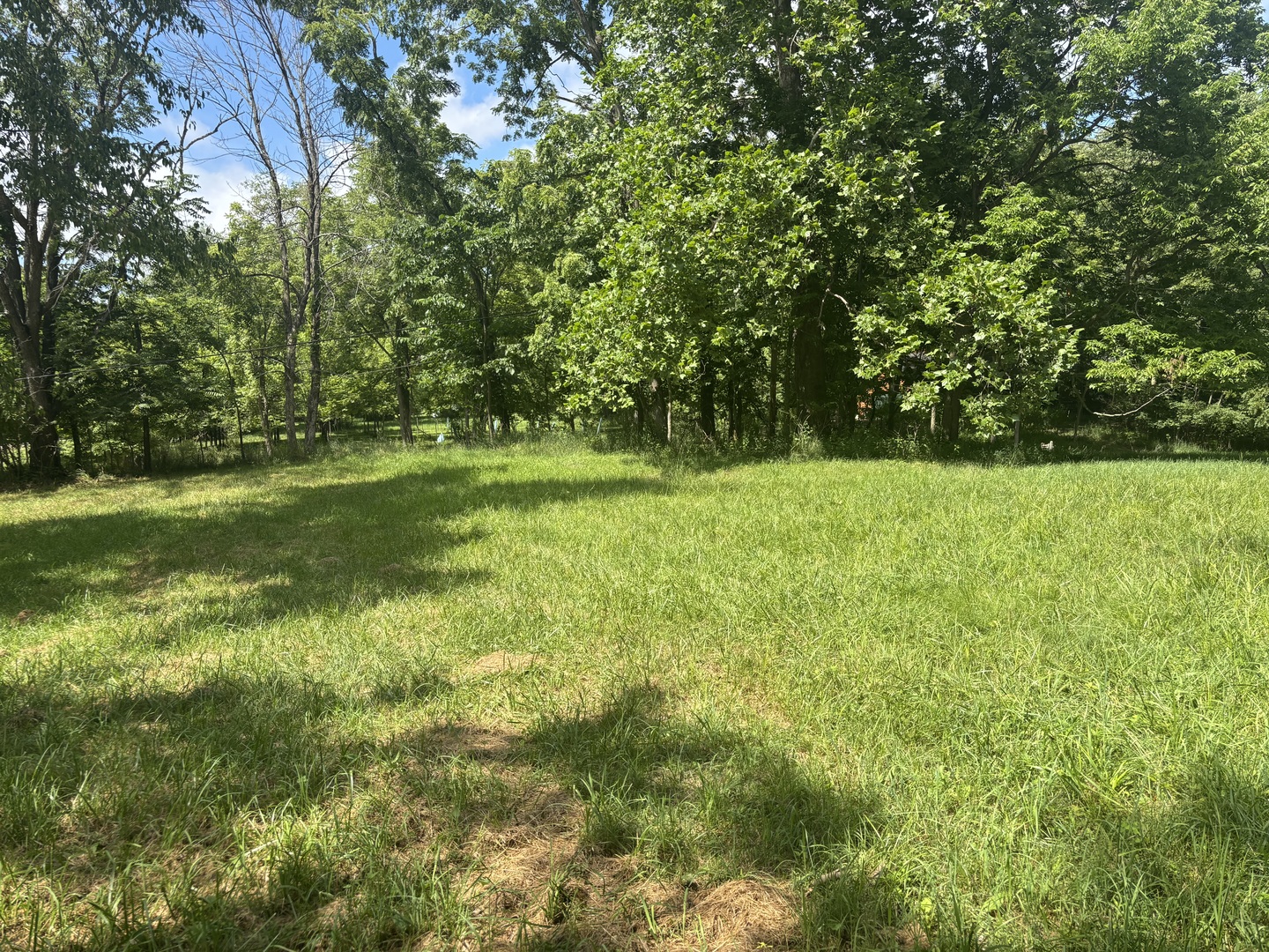 1720 Tanglewood Drive Property Photo 7