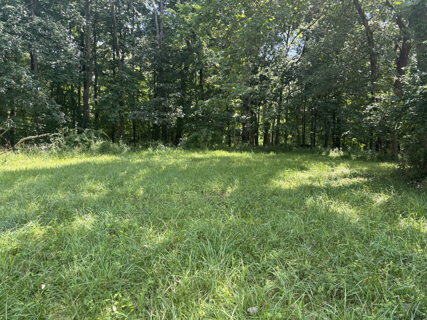 1720 Tanglewood Drive Property Photo 9