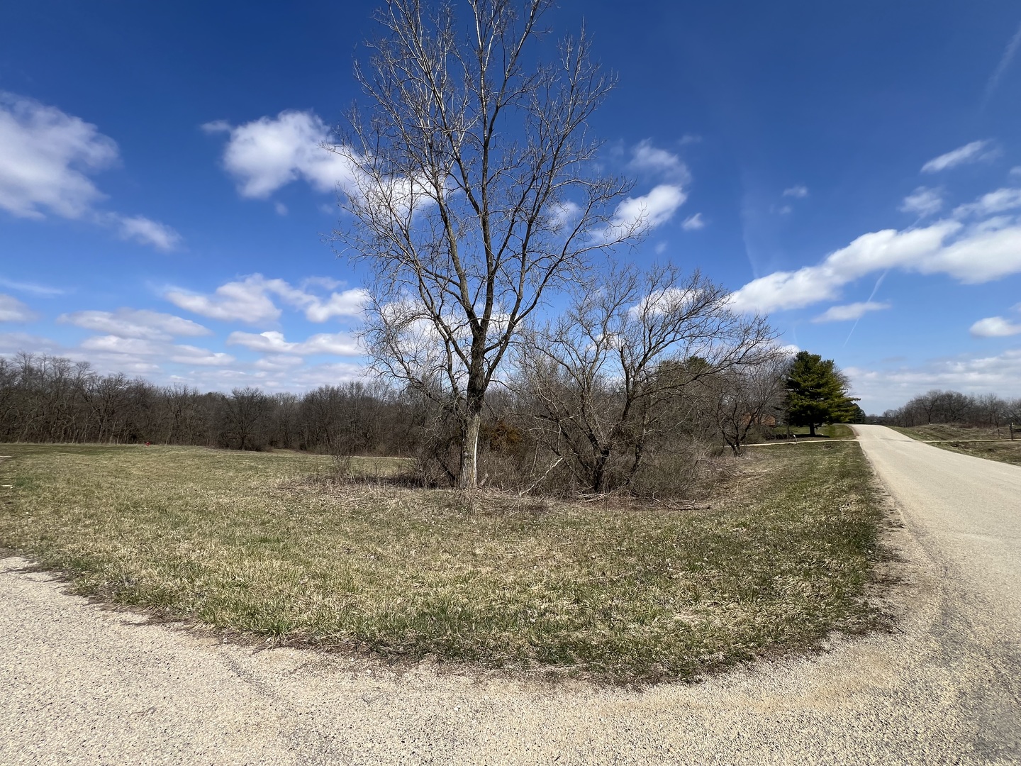 226 Fox Court Property Photo 4