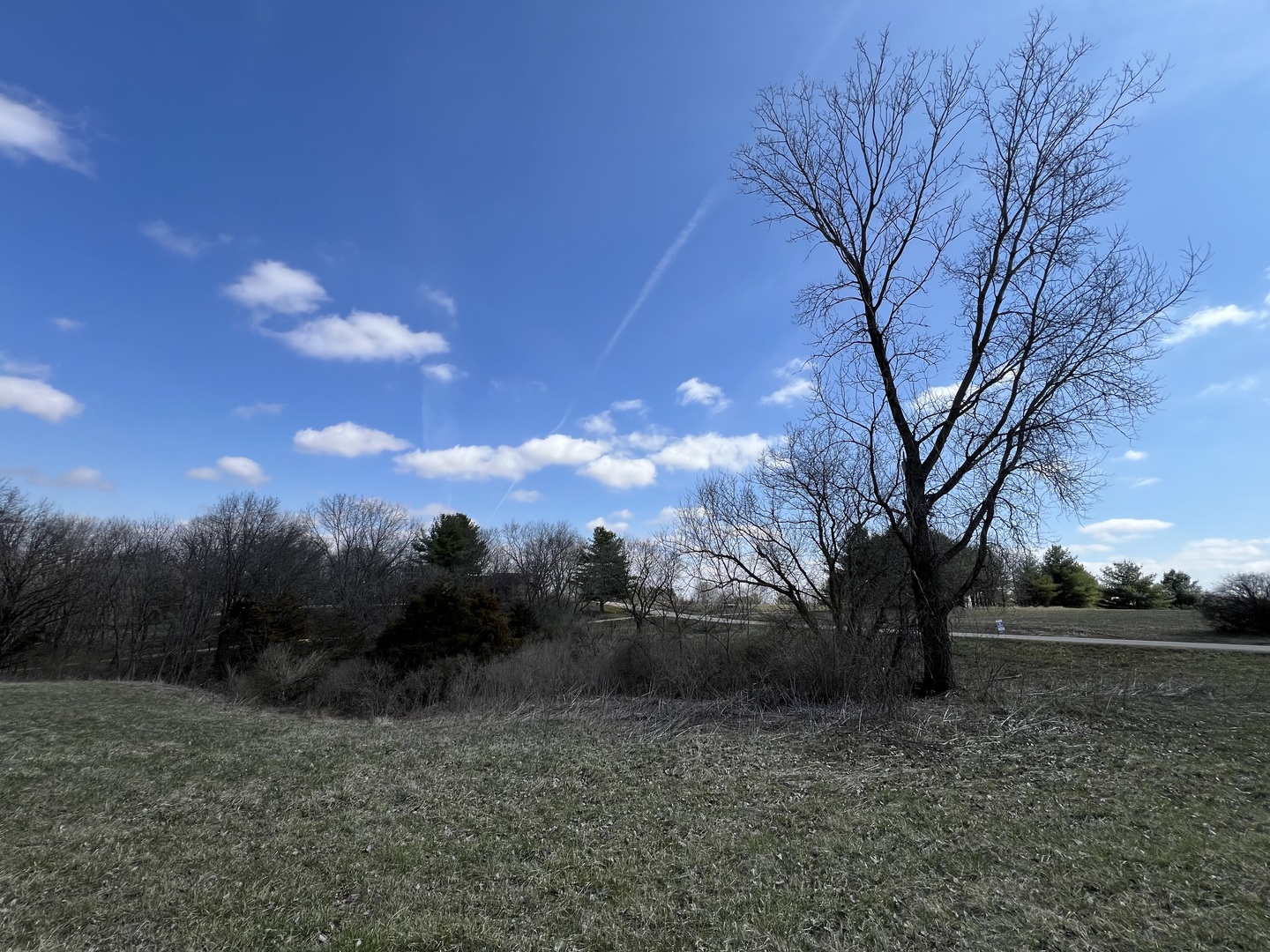 226 Fox Court Property Photo 6