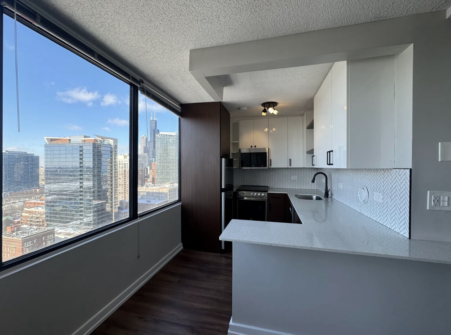 1212 S Michigan Avenue 2711 Property Photo 5