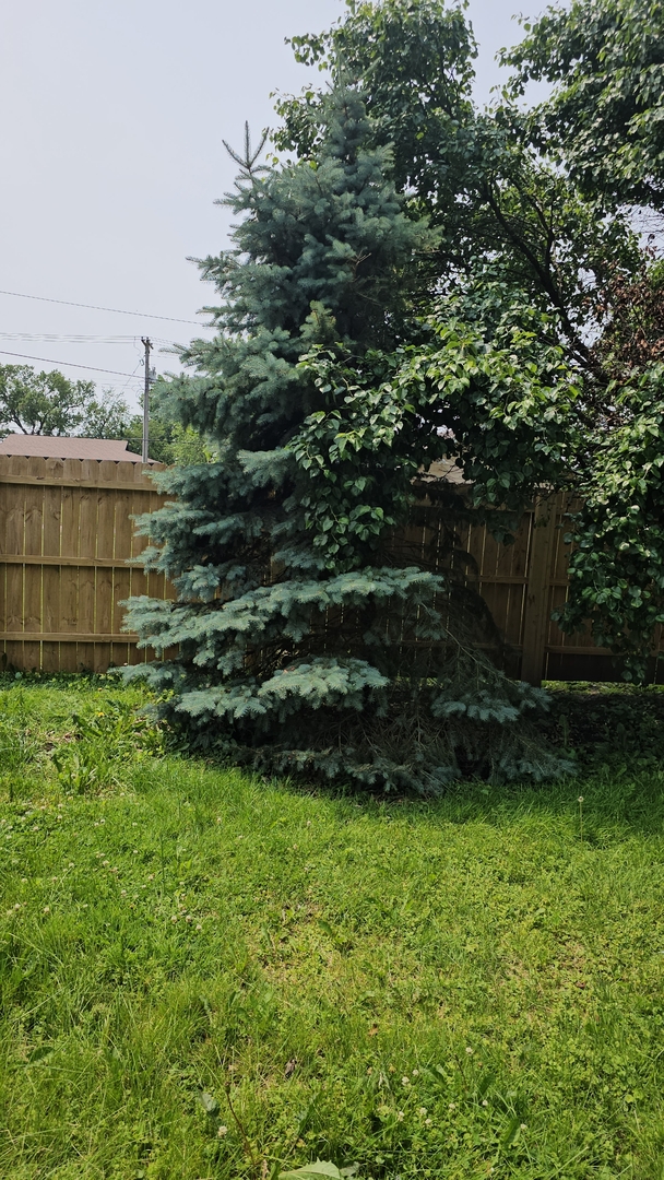 309 N Market Street Property Photo 24