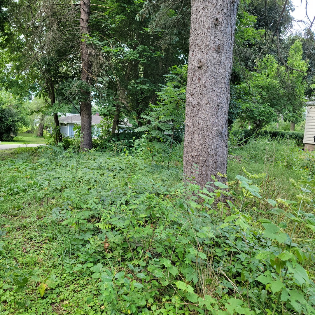 25578 W High Street Property Photo 2