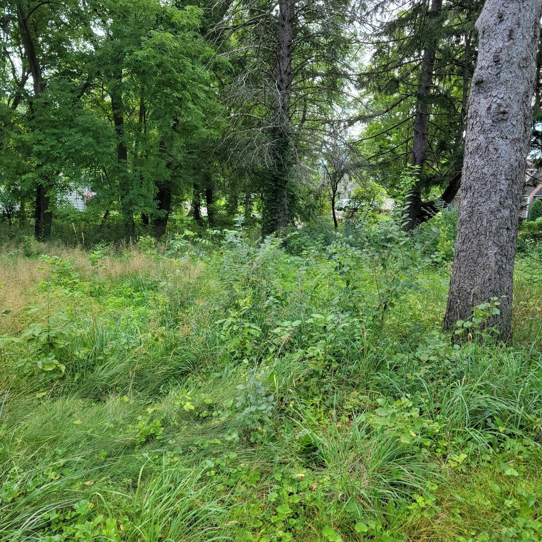 25578 W High Street Property Photo 3