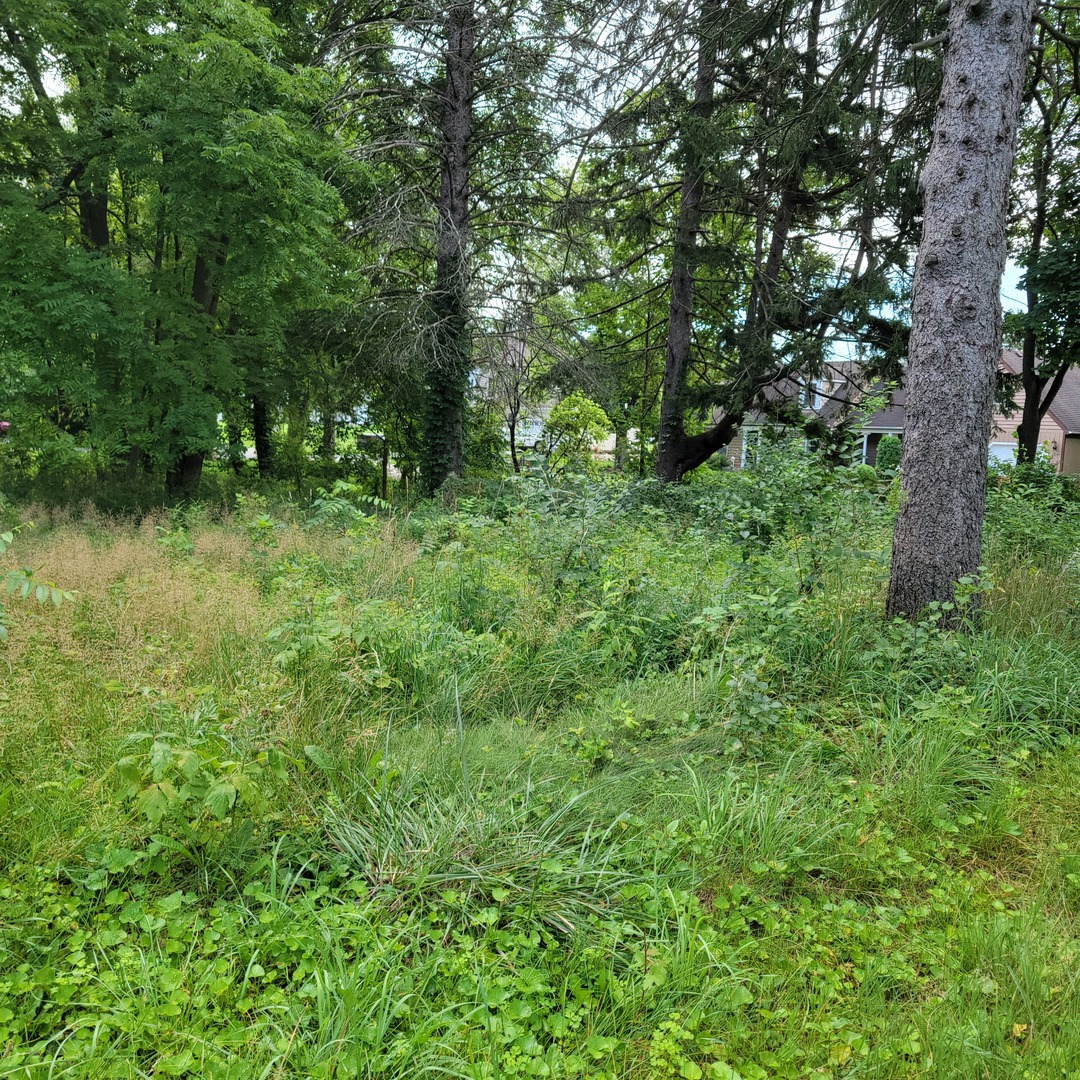 25578 W High Street Property Photo 4