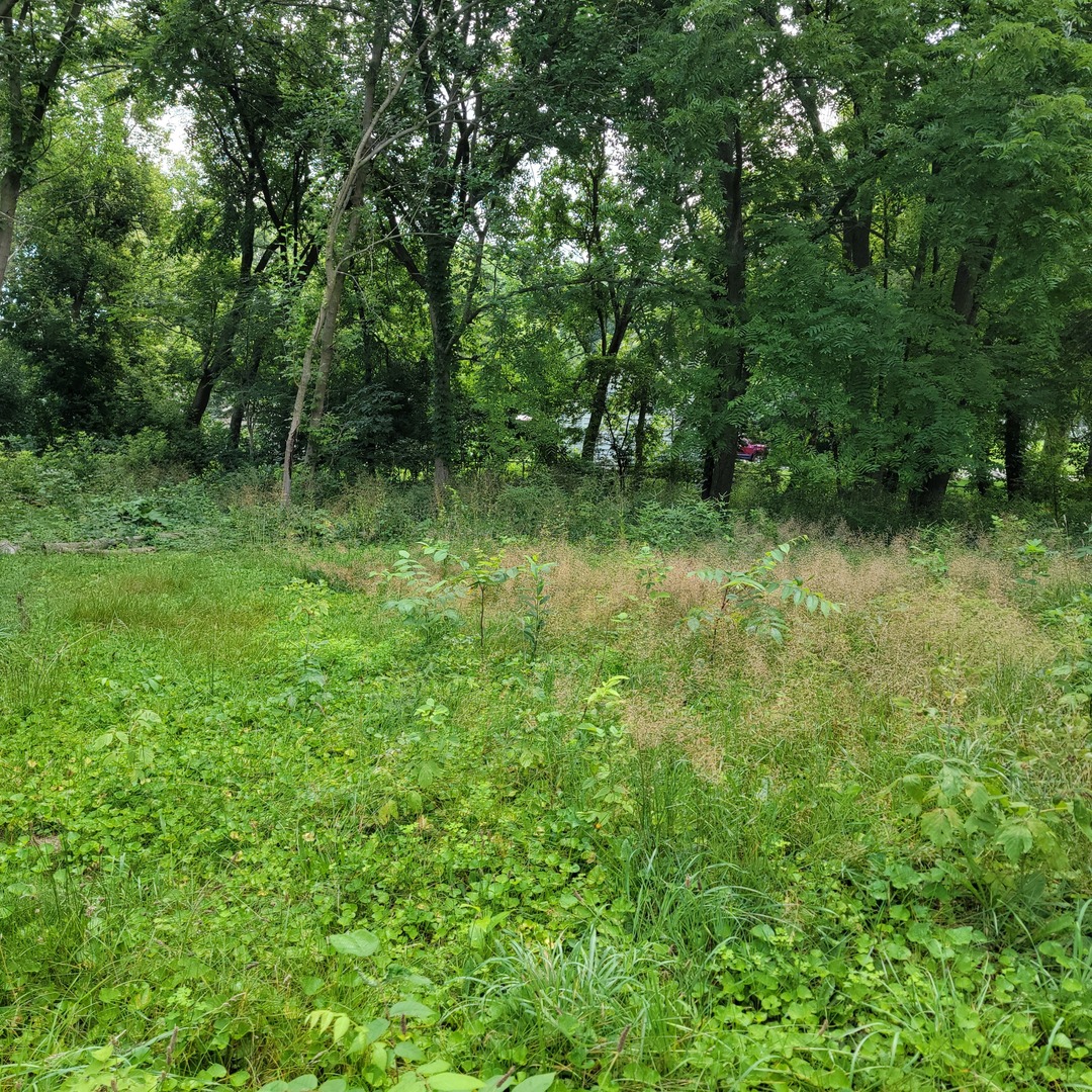 25578 W High Street Property Photo 5