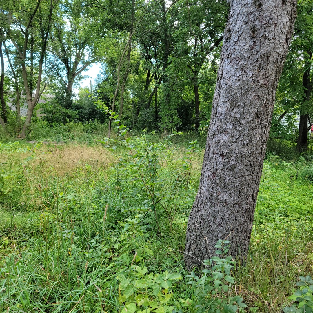 25578 W High Street Property Photo 6