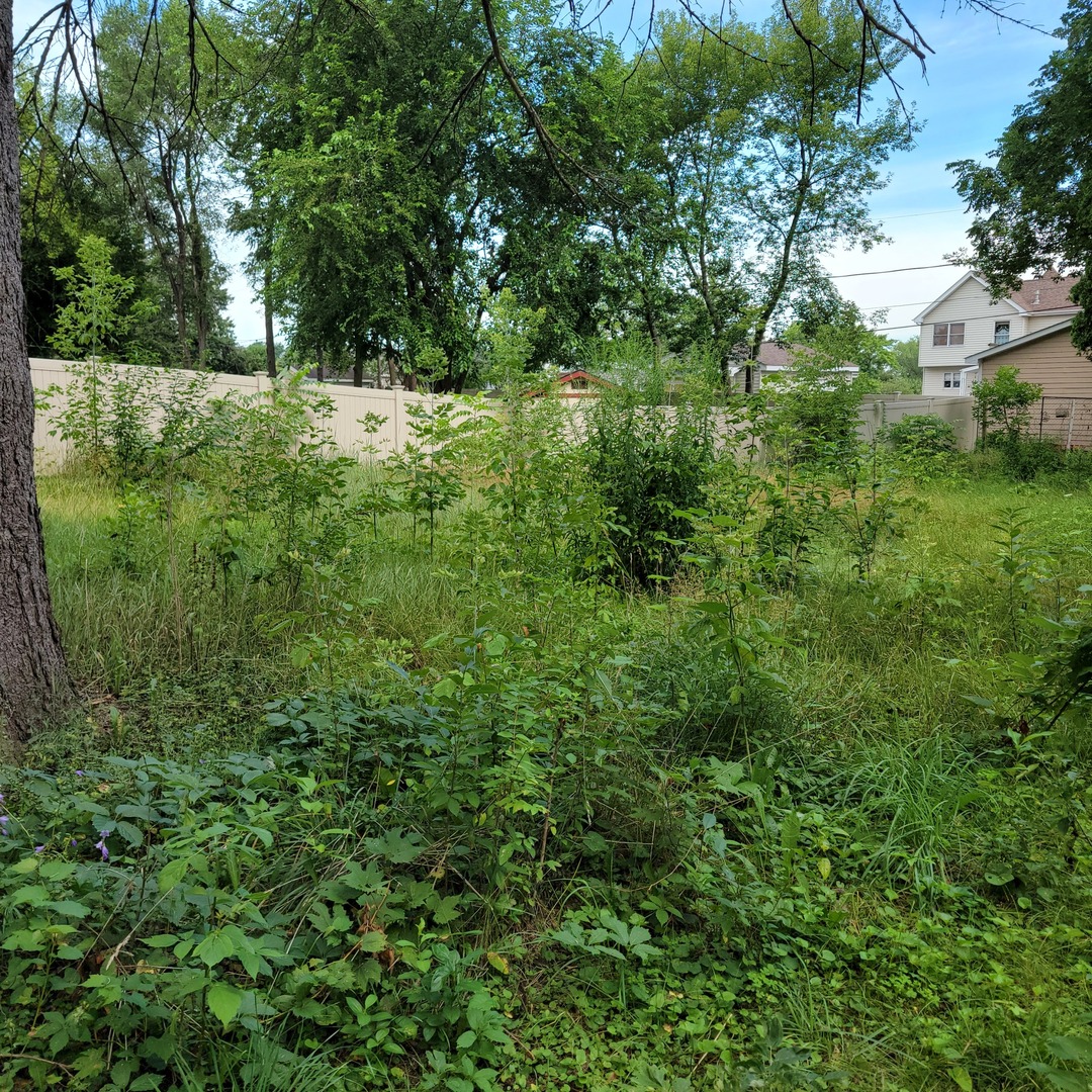 25578 W High Street Property Photo 7
