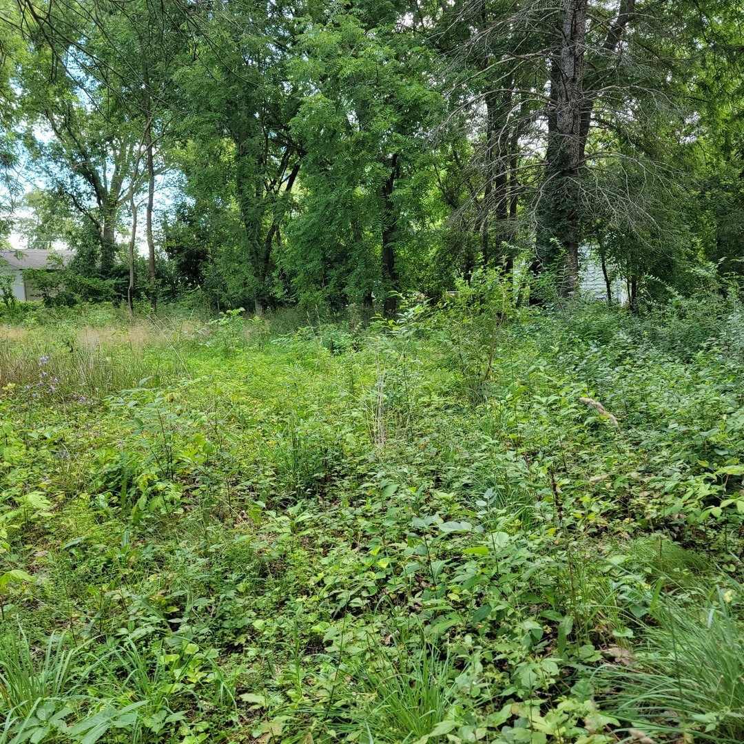 25578 W High Street Property Photo 9
