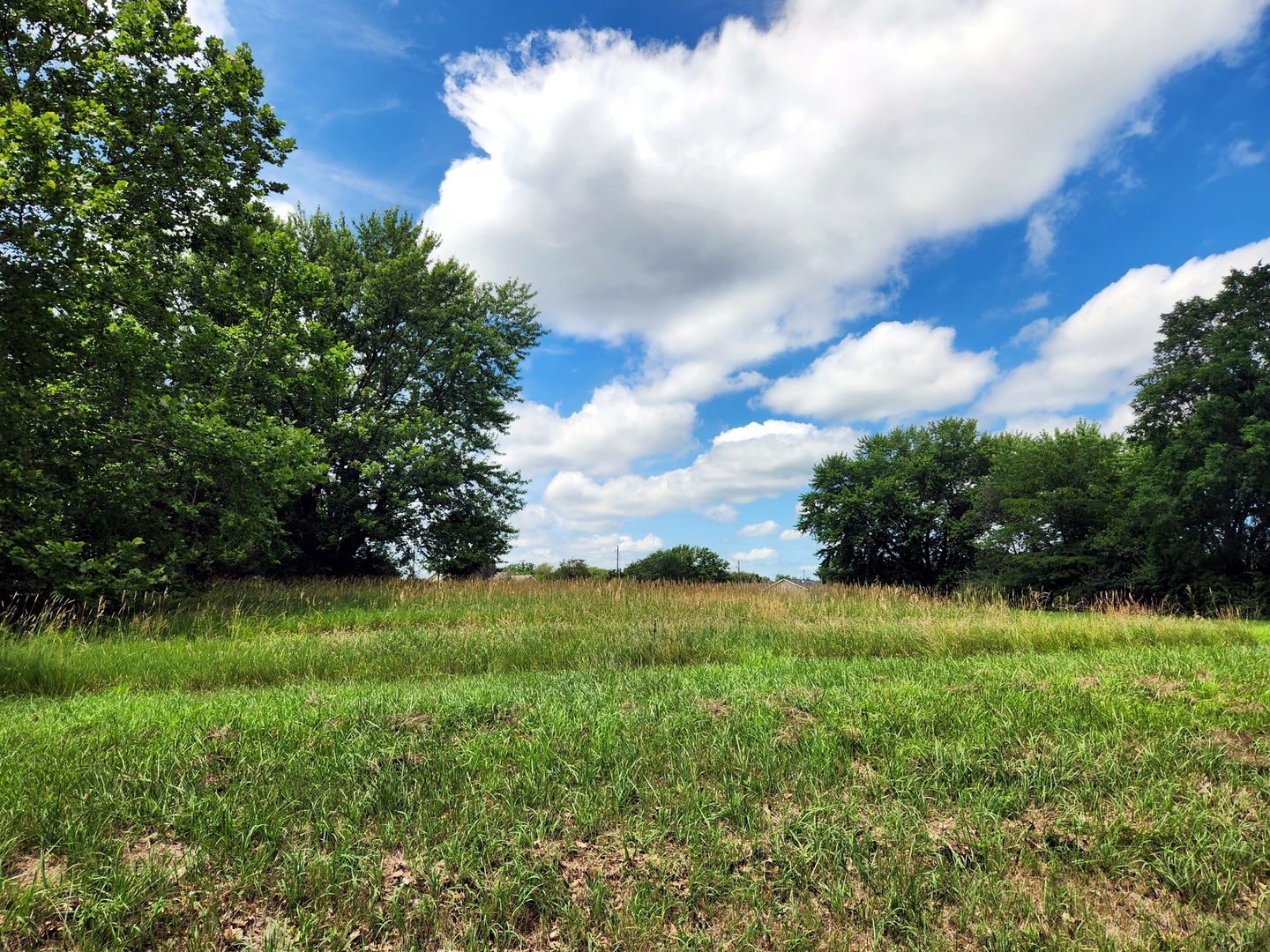 Lot 481 Earl S. Miller Drive Property Photo 1