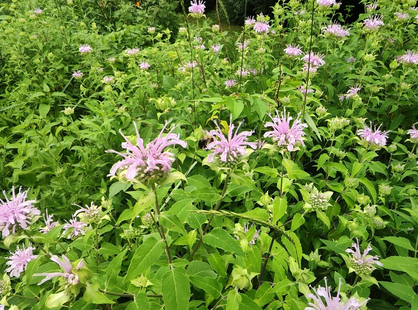 10386 B Fox River Drive Property Photo 24