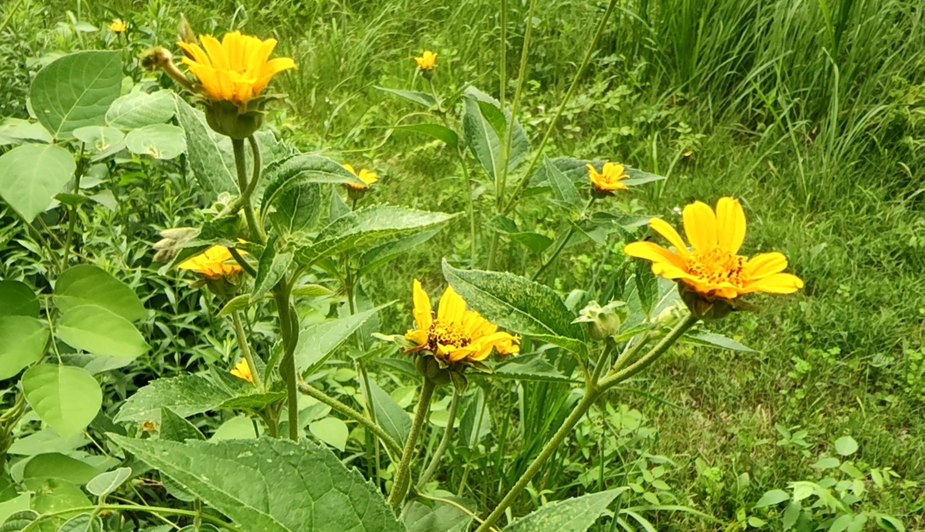 10386 B Fox River Drive Property Photo 25