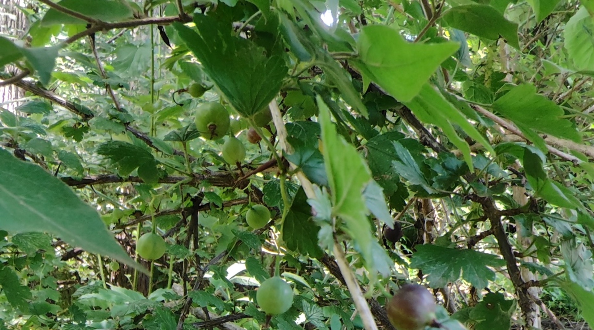 10386 B Fox River Drive Property Photo 26