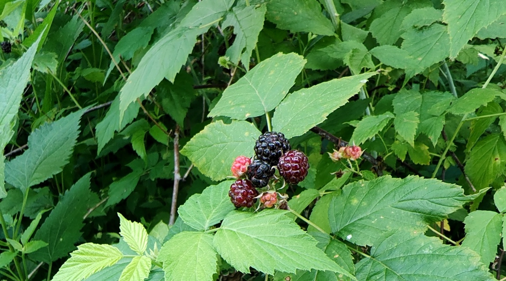 10386 B Fox River Drive Property Photo 27