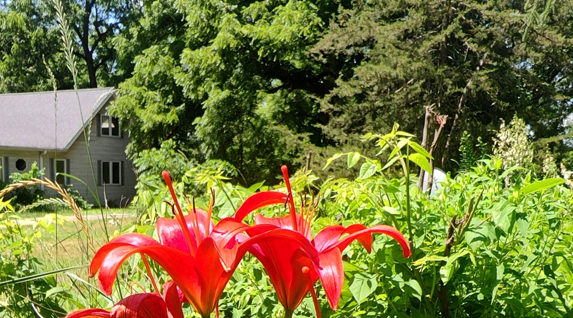 10386 B Fox River Drive Property Photo 28