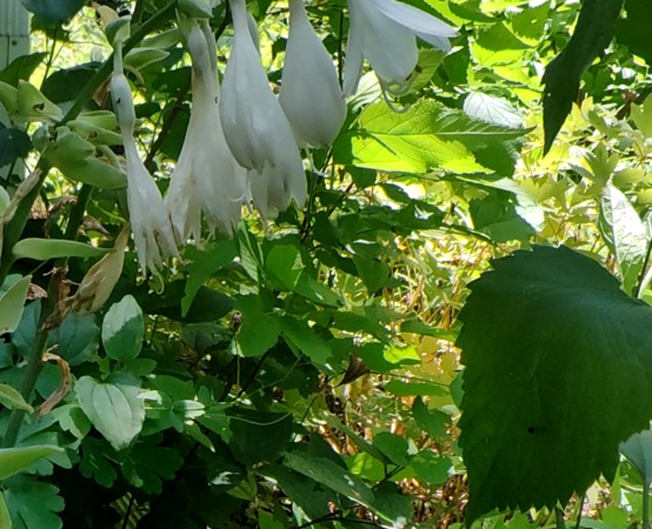 10386 B Fox River Drive Property Photo 29