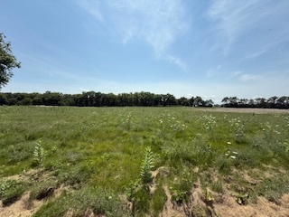 2209 Ann Lane Property Photo 4
