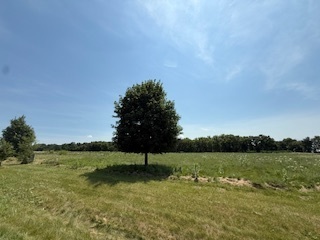 2209 Ann Lane Property Photo 10