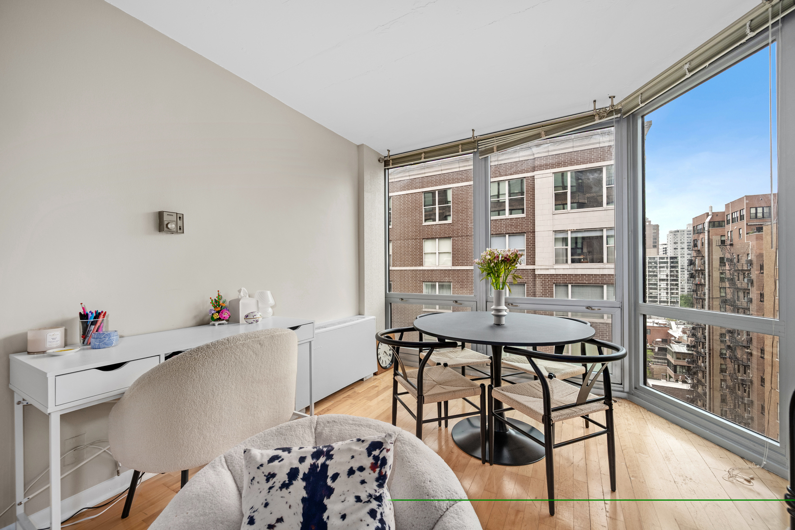 21 W Goethe Street 16e Property Photo 4