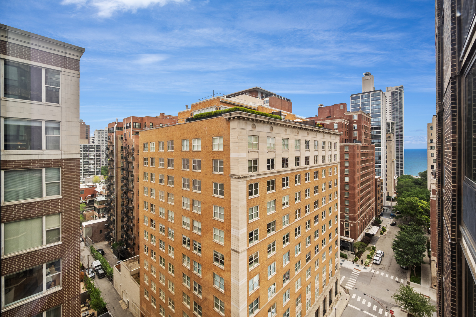 21 W Goethe Street 16e Property Photo 6