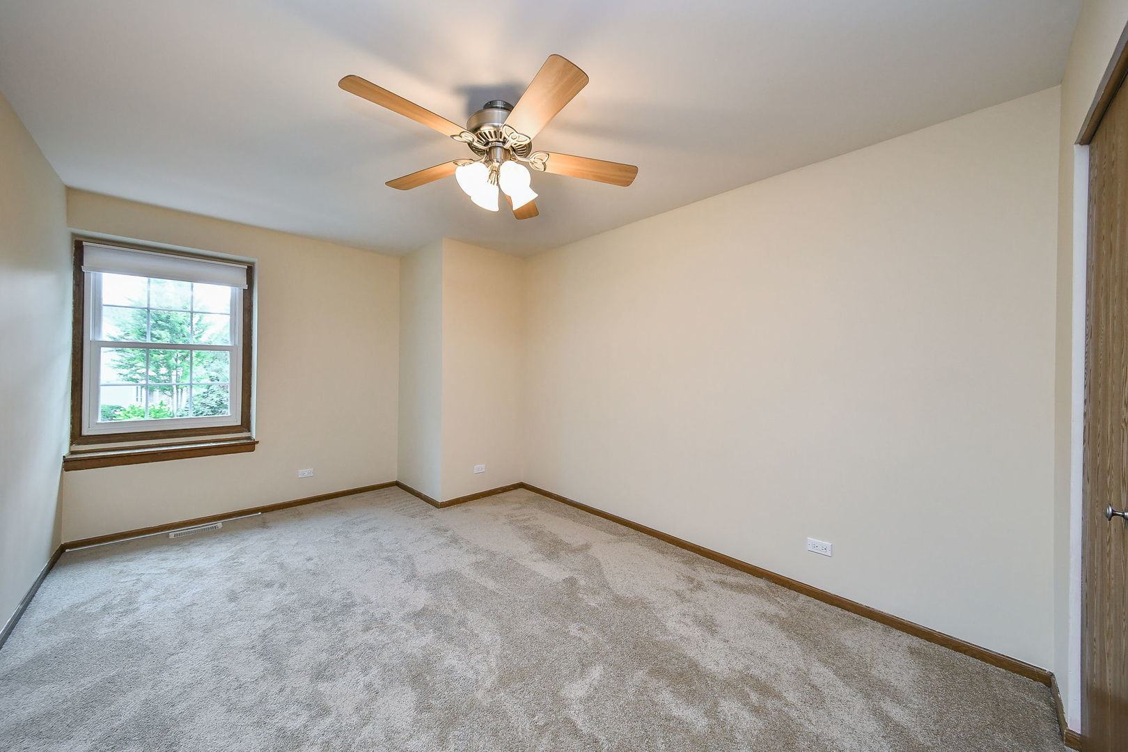 431 Orleans Avenue 431 Property Photo 19