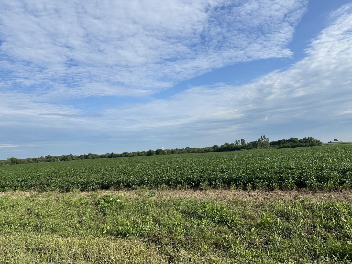30 Acres Church And Racine Avenue Property Photo 2