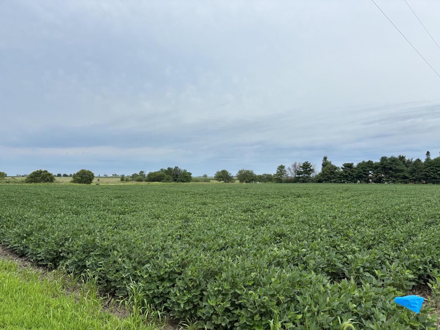 3355 County Road 400 E Road Property Photo 1