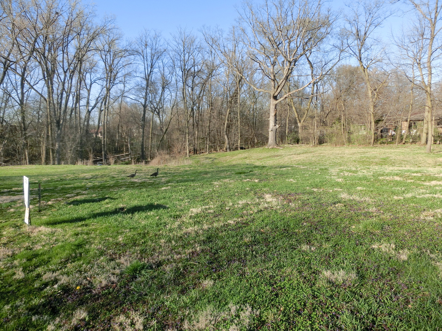 16966 Forest Glen Drive Property Photo 1