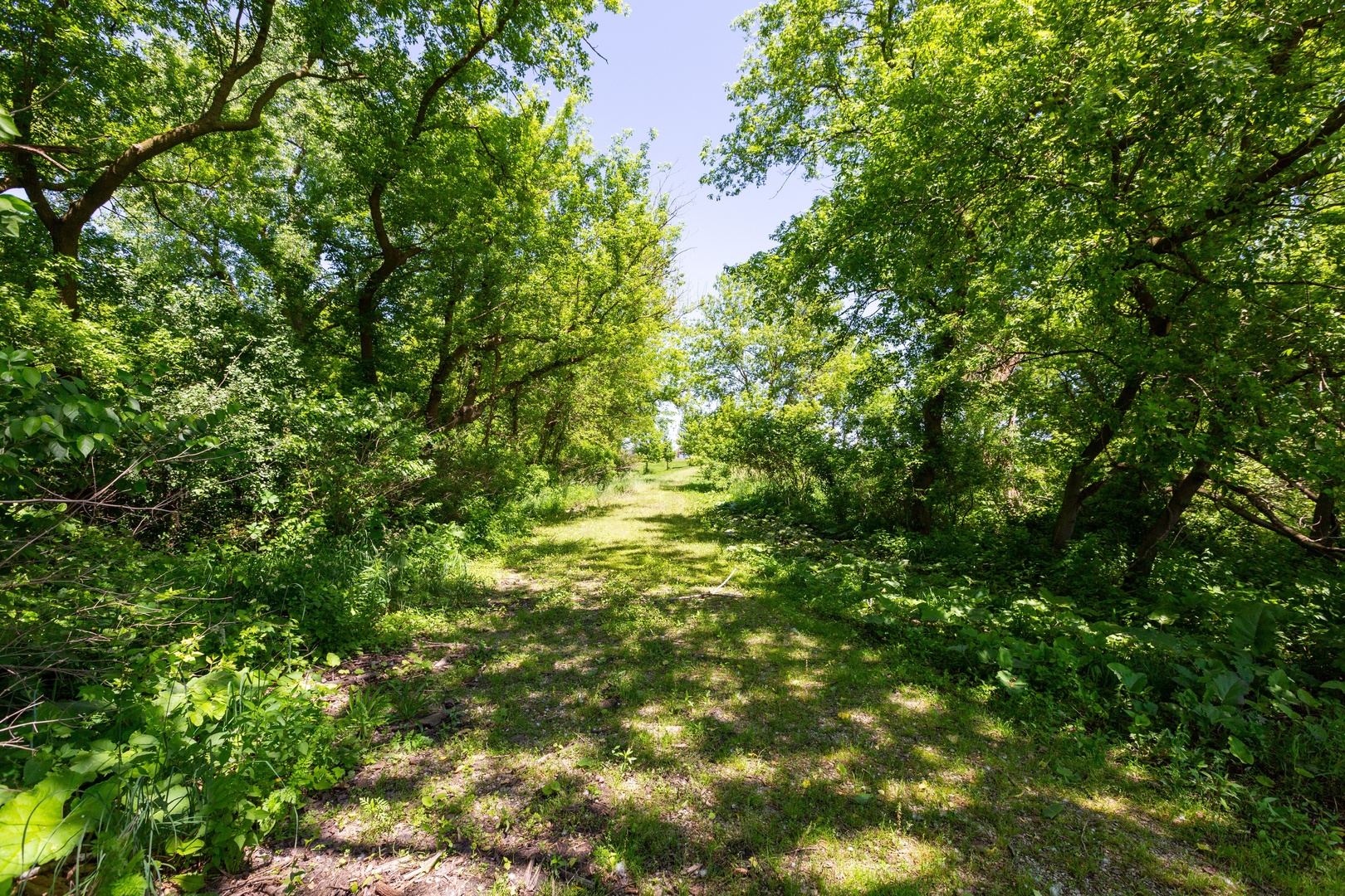 9618 Emily Lane Property Photo 2