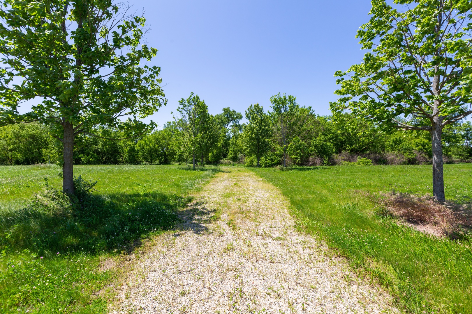 9618 Emily Lane Property Photo 3