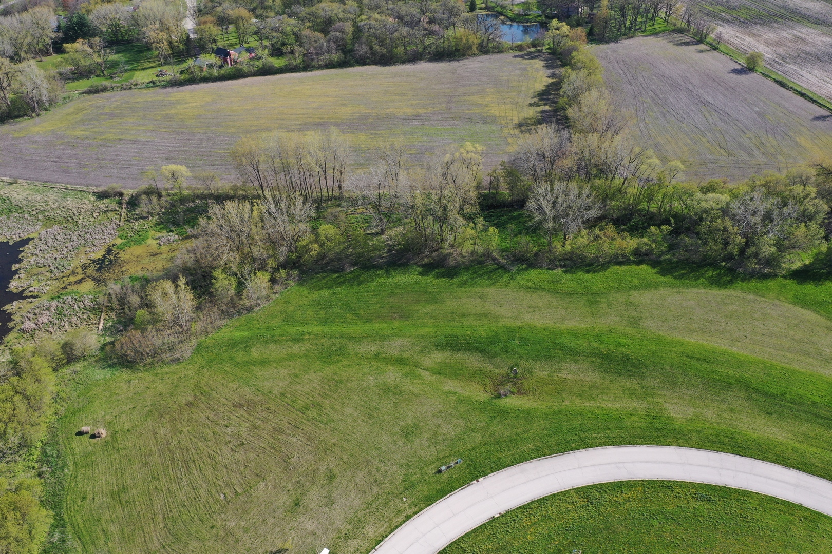 9618 Emily Lane Property Photo 5