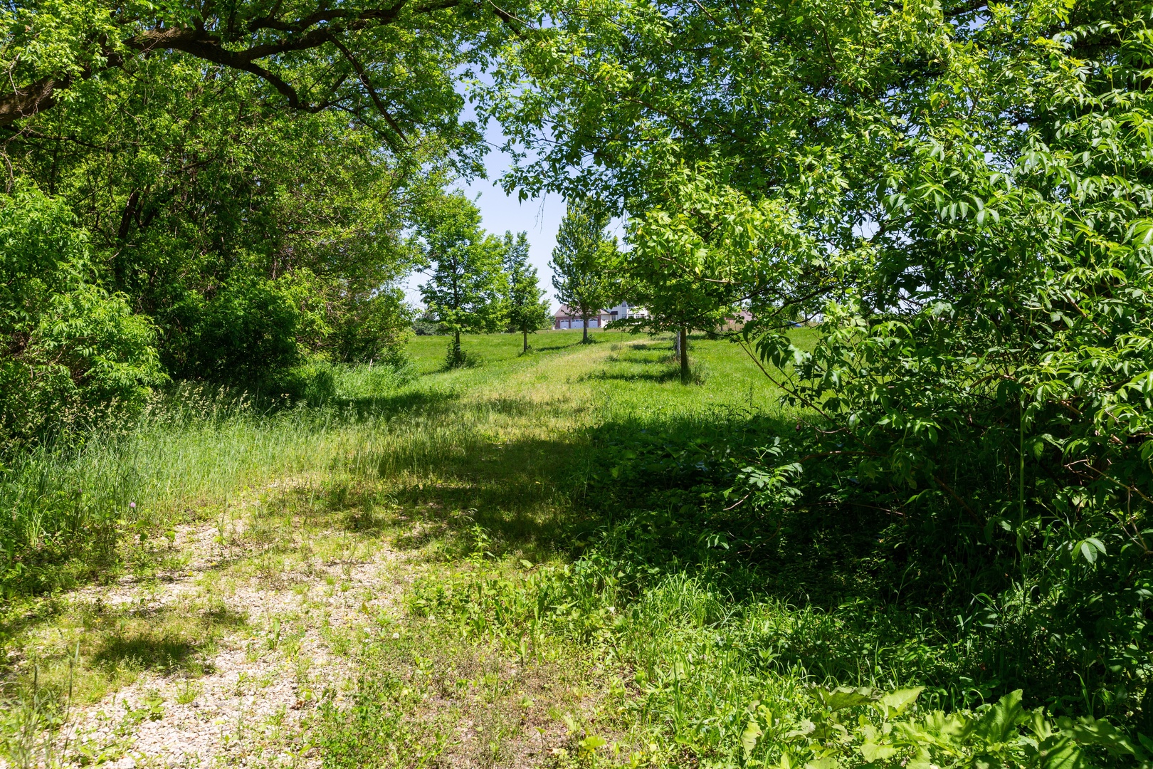 9618 Emily Lane Property Photo 10