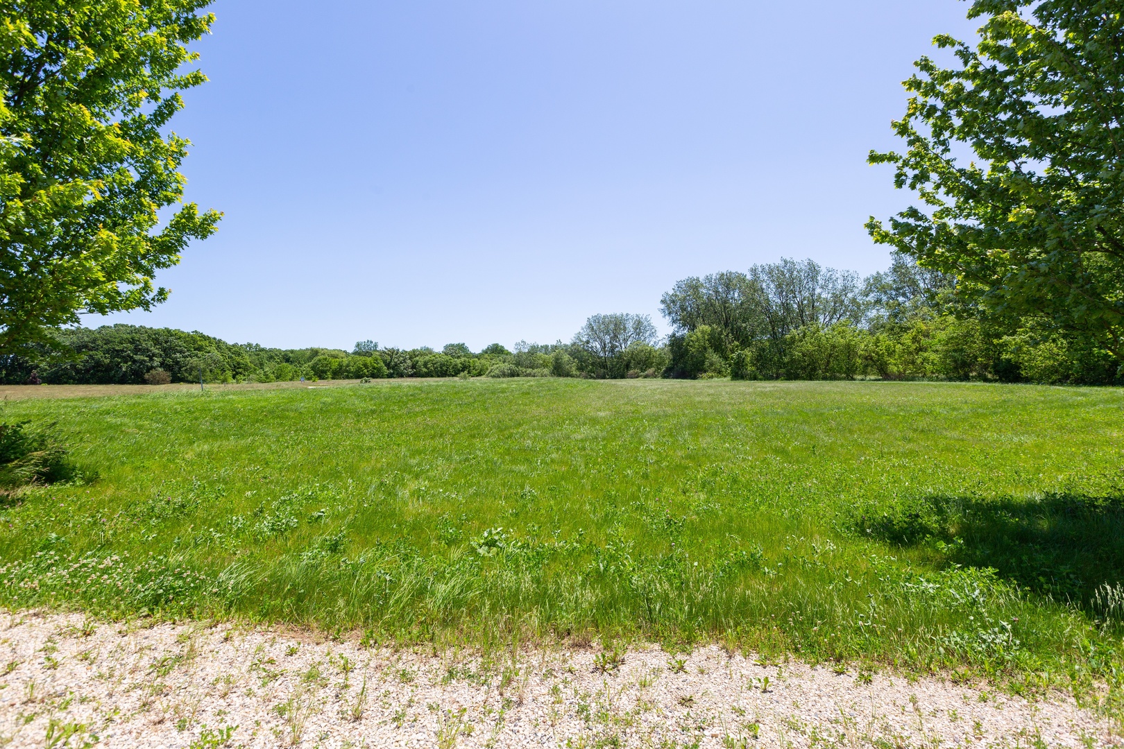 9618 Emily Lane Property Photo 11