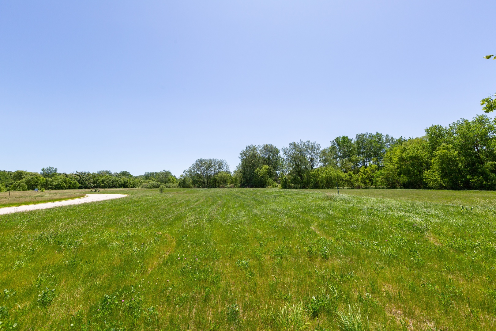 9618 Emily Lane Property Photo 12