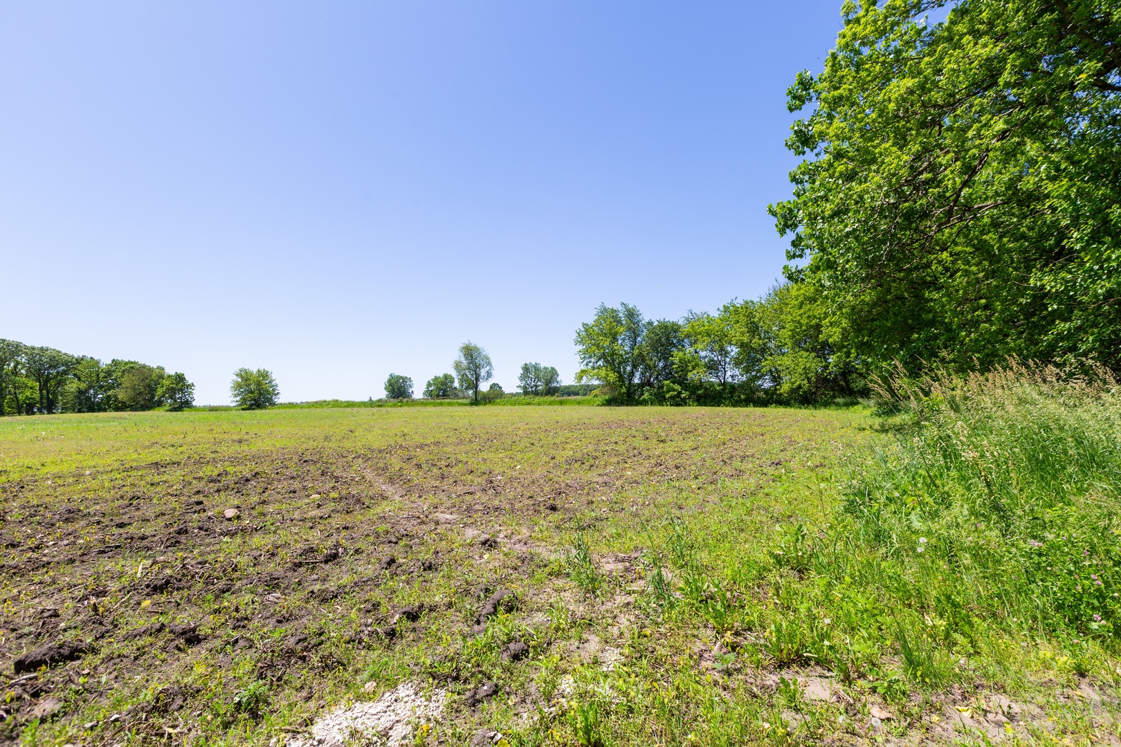 9618 Emily Lane Property Photo 15